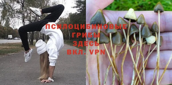 jwh Зеленокумск