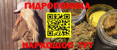 прущие грибы Донецк