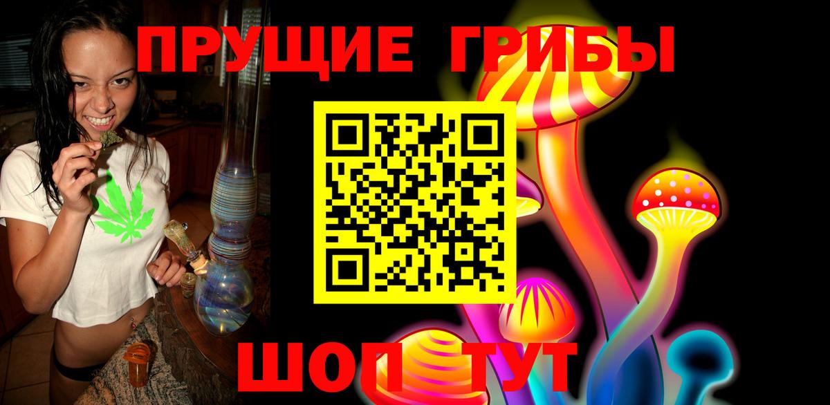 Железногорск  Псилоцибиновые грибы прущие грибы  Вход с VPN 
